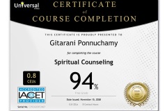 CEU Verification